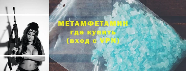 трава Няндома