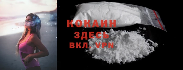 трава Няндома