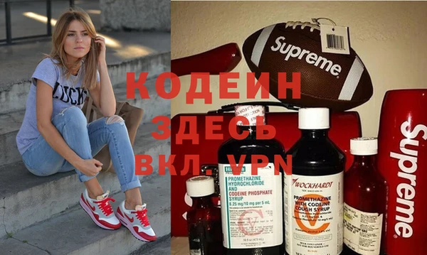 трава Няндома
