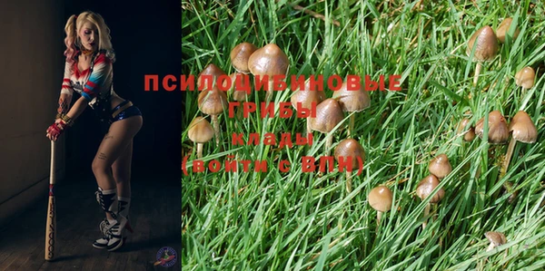 гашик Семилуки