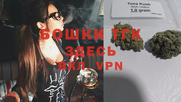 трава Няндома