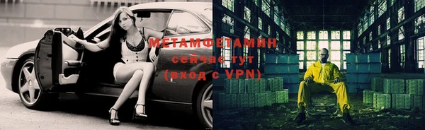 трава Няндома