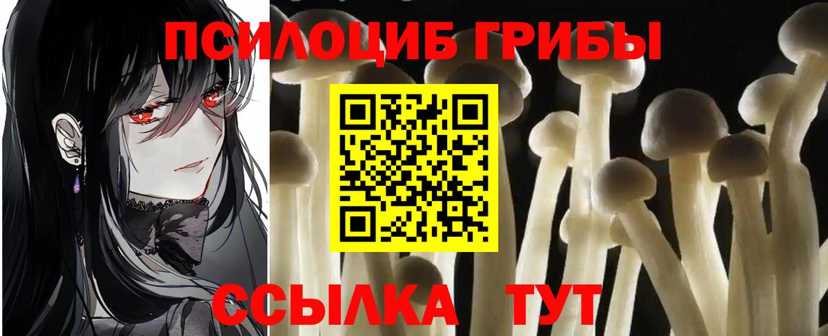 Псилоцибиновые грибы Magic Shrooms Лабытнанги